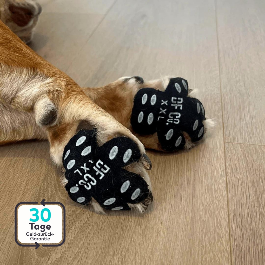 PawGuard-pads | Ultieme bescherming voor de pootjes van uw hond (5 sets)