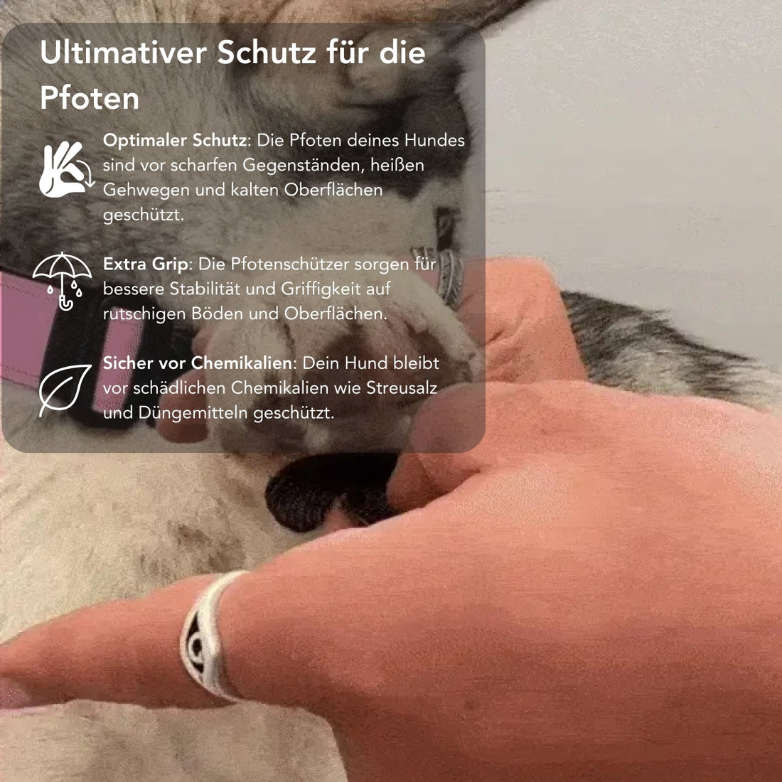 PawGuard-pads | Ultieme bescherming voor de pootjes van uw hond (5 sets)