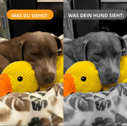 Serenosole™ CalmBuddy Anti-Stress Ente Hundespielzeug | Das ultimative Kuschelspielzeug für einen stressfreien Hund | Bestseller
