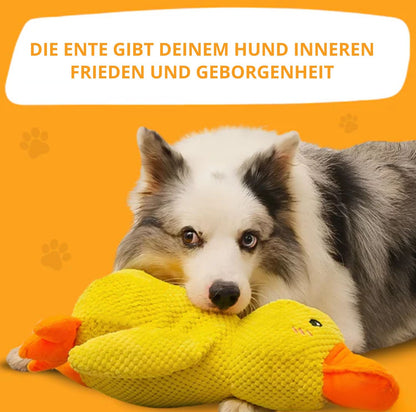 Serenosole™ CalmBuddy Anti-Stress Ente Hundespielzeug | Das ultimative Kuschelspielzeug für einen stressfreien Hund | Bestseller
