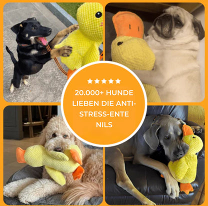 Serenosole™ CalmBuddy Anti-Stress Ente Hundespielzeug | Das ultimative Kuschelspielzeug für einen stressfreien Hund | Bestseller