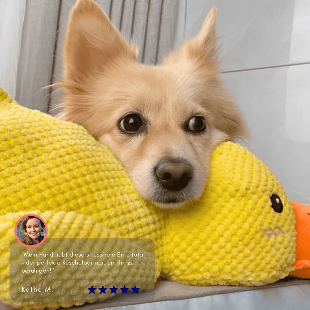 Serenosole™ CalmBuddy Anti-Stress Ente Hundespielzeug | Das ultimative Kuschelspielzeug für einen stressfreien Hund | Bestseller