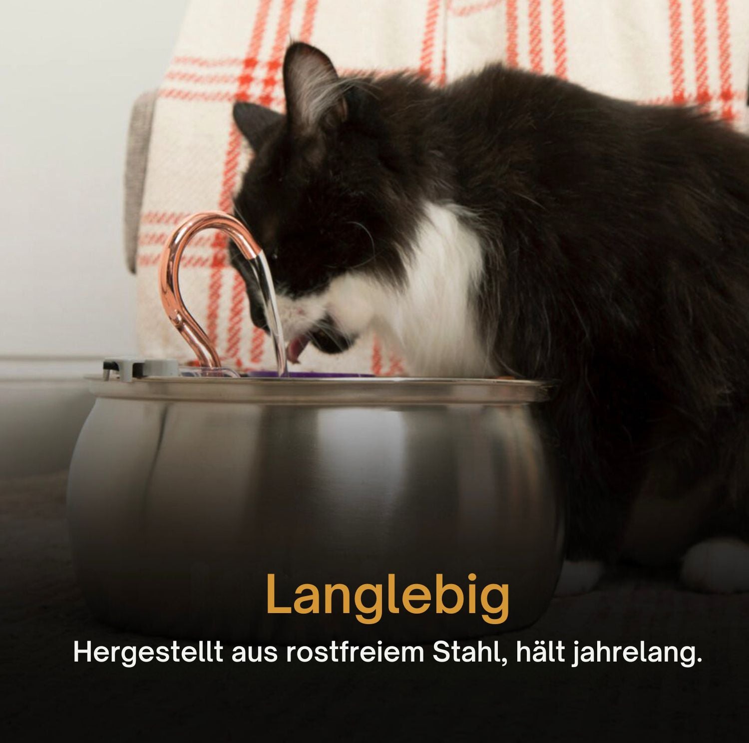 Serenosole™ AquaCat | Houd uw kat gehydrateerd en gezond | Slimste hydratatie 2024