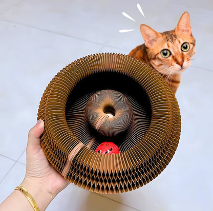 Serenosole™ KittyKraze Katzenspielzeug | Regt den Geist und Körper Ihrer Katze an | Süßestes Katzenspielzeug 2024 (1+1 GRATIS)