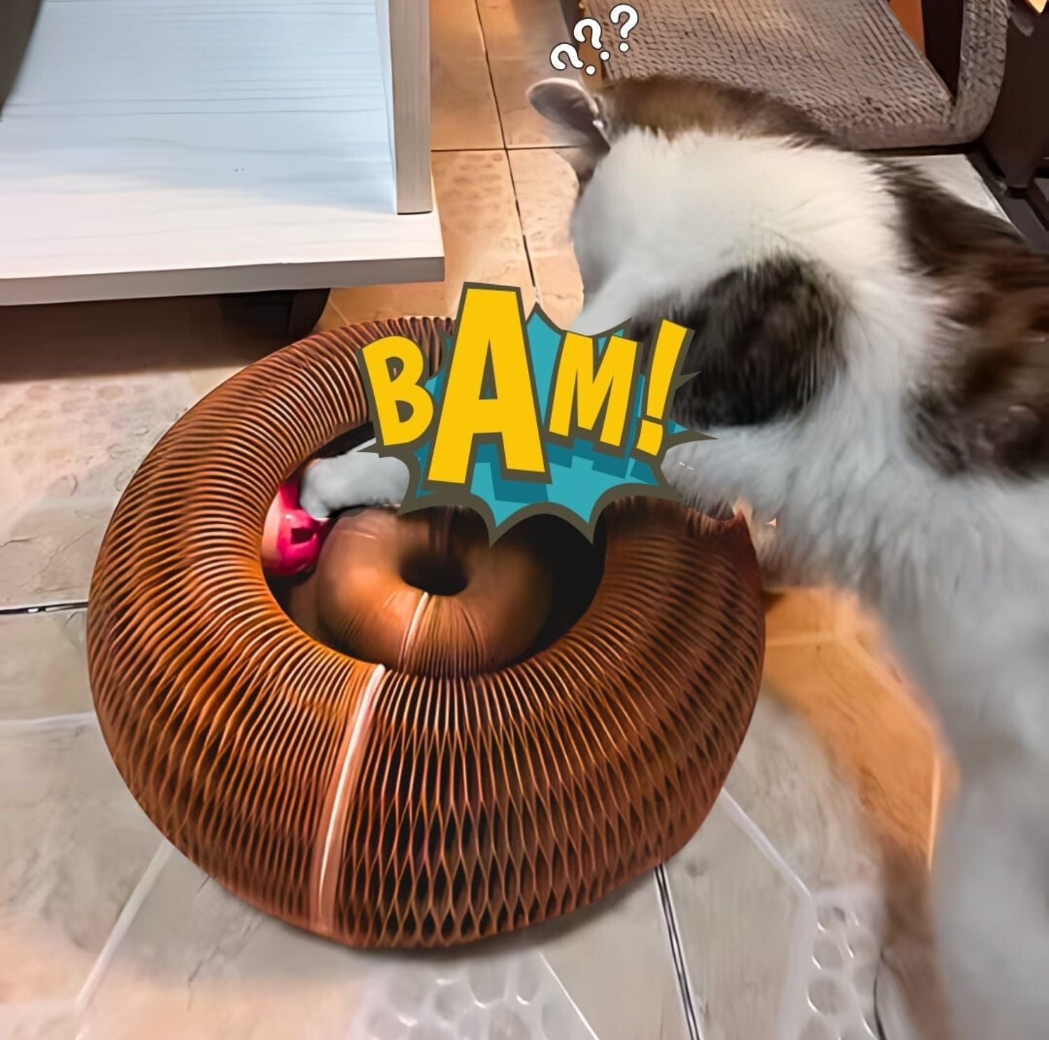 Serenosole™ KittyKraze Katzenspielzeug | Regt den Geist und Körper Ihrer Katze an | Süßestes Katzenspielzeug 2024 (1+1 GRATIS)