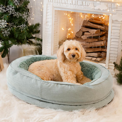Serenosole™ DreamPaws Hundebett | Schafft den ultimativen Entspannungsplatz für deinen Hund | Das perfekte Hundehimmel 2024