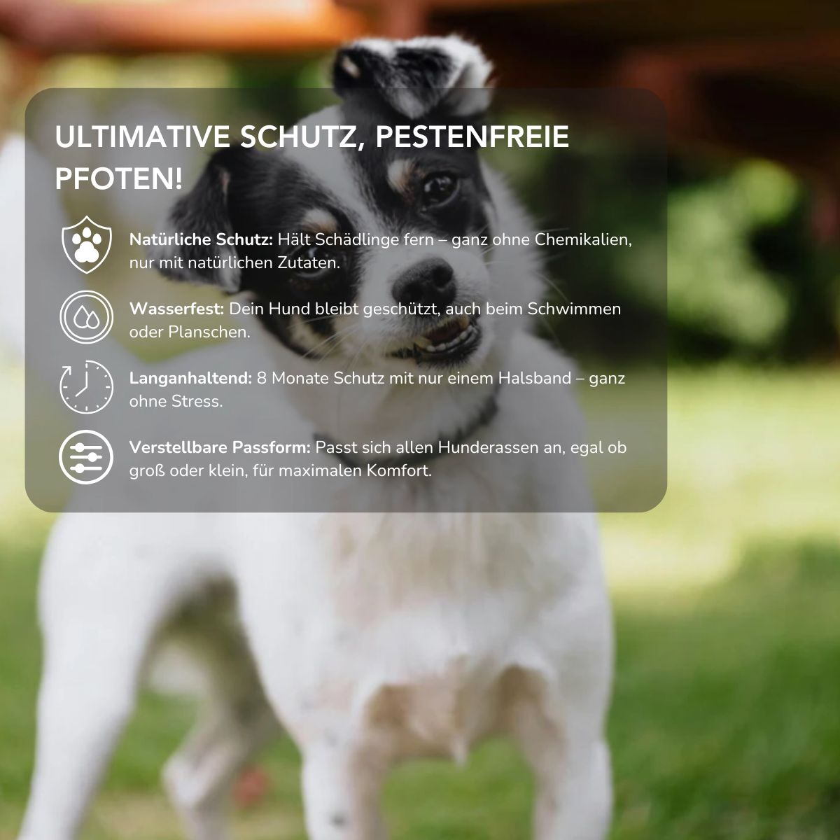 Serenosole™ PawShield | Schütze deinen Hund auf natürliche Weise vor Parasiten | Ultimativer Hundeschutz 2025