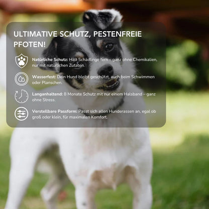Serenosole™ PawShield | Schütze deinen Hund auf natürliche Weise vor Parasiten | Ultimativer Hundeschutz 2025