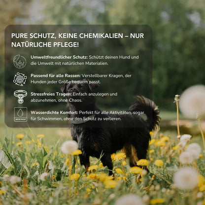 Serenosole™ PawShield | Schütze deinen Hund auf natürliche Weise vor Parasiten | Ultimativer Hundeschutz 2025