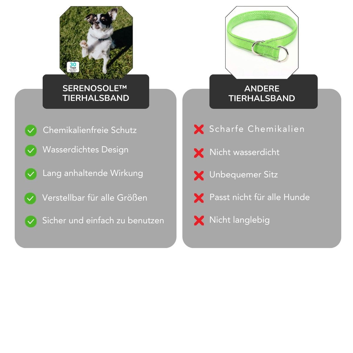 Serenosole™ PawShield | Schütze deinen Hund auf natürliche Weise vor Parasiten | Ultimativer Hundeschutz 2025