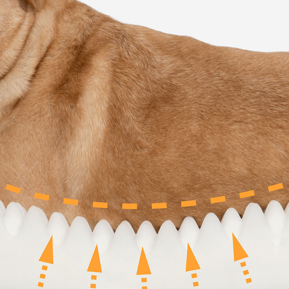 Serenosole™ DreamPaws Hundebett | Schafft den ultimativen Entspannungsplatz für deinen Hund | Das perfekte Hundehimmel 2024