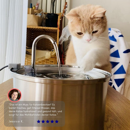 Serenosole™ AquaCat | Houd uw kat gehydrateerd en gezond | Slimste hydratatie 2024