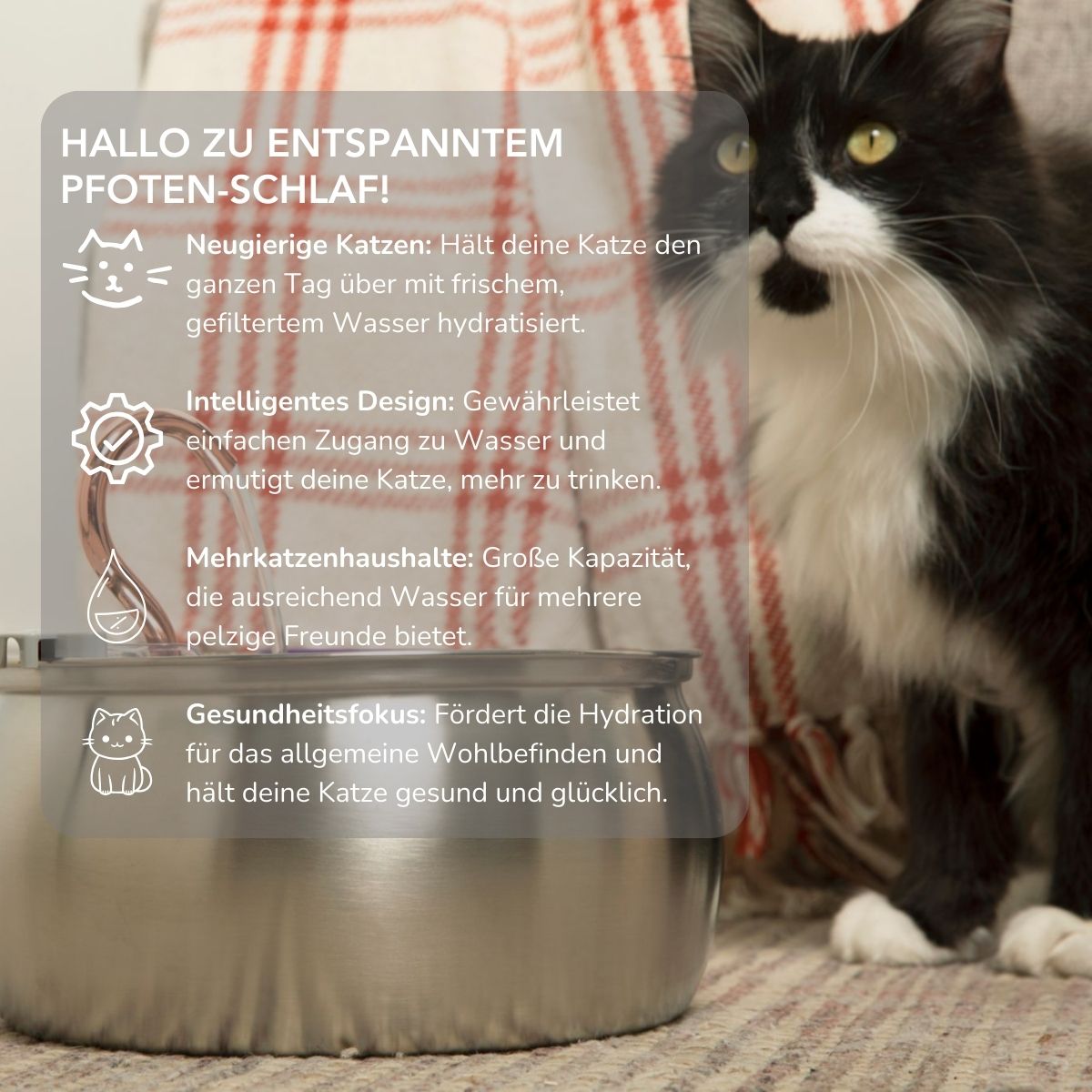 Serenosole™ AquaCat | Houd uw kat gehydrateerd en gezond | Slimste hydratatie 2024