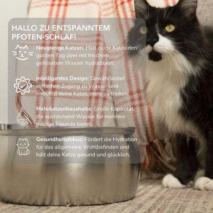 Serenosole™ AquaCat | Houd uw kat gehydrateerd en gezond | Slimste hydratatie 2024