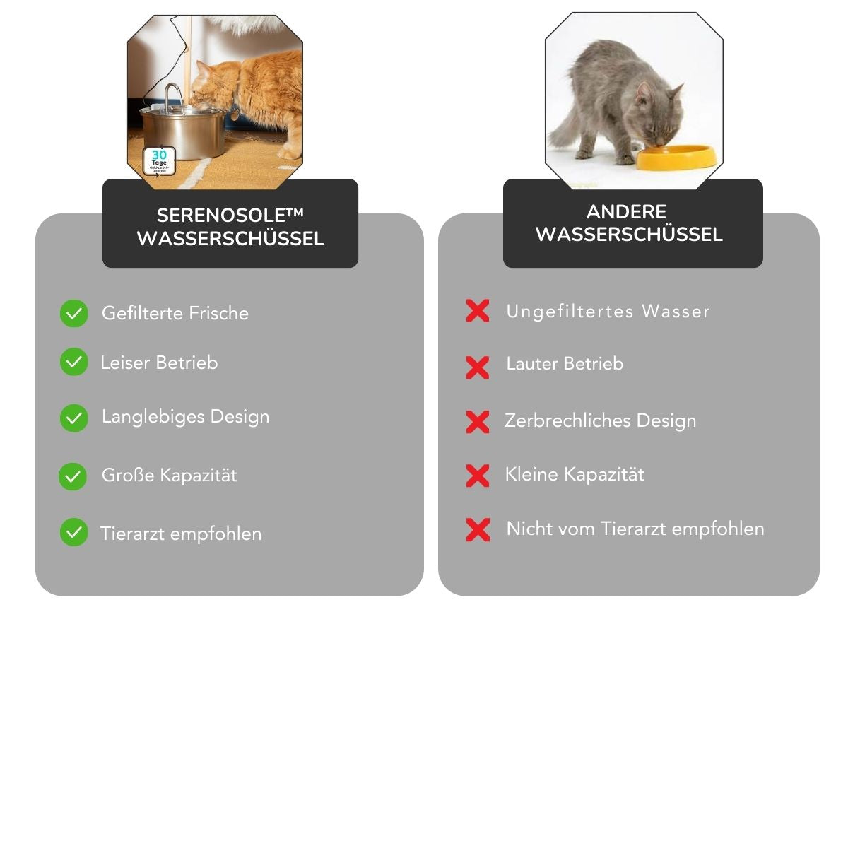 Serenosole™ AquaCat | Houd uw kat gehydrateerd en gezond | Slimste hydratatie 2024